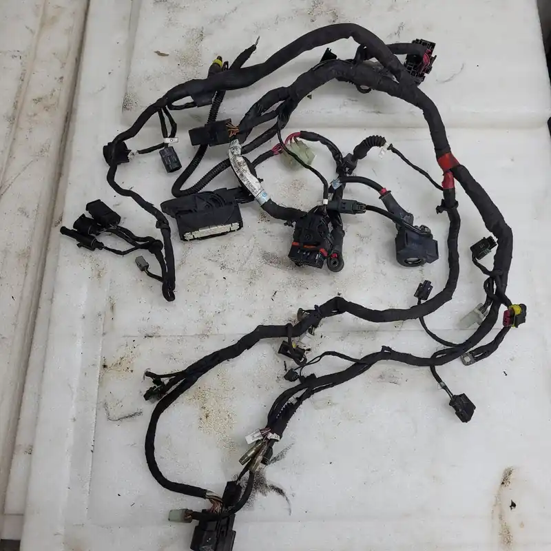 Dernier Modèle wiring harness